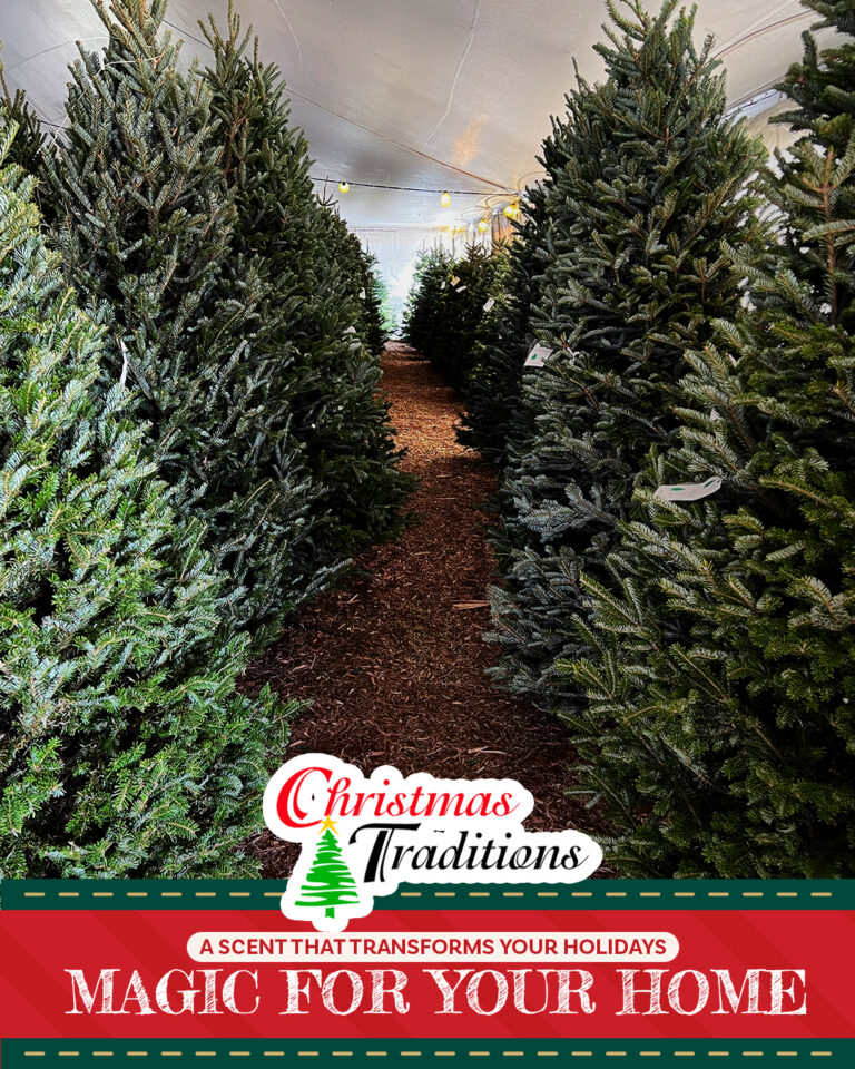 Real Christmas Tree Benefits for a More Special Season